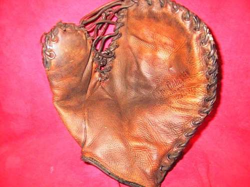 Babe Dahlgren Noah's Ark Front